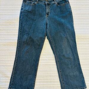 Venezia Blue Straight Leg Jeans Classic Style, Size 16P
